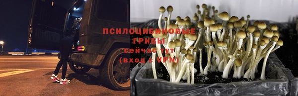 гашишное масло Абаза