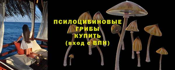 прущий лед Алзамай