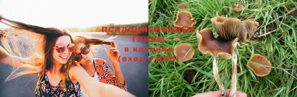 каннабис Алексин