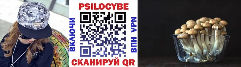 Псилоцибиновые грибы Magic Shrooms  Почеп 
